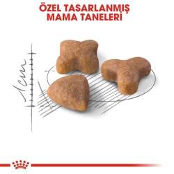 Royal Canin Sensible 33 Hassas Sindirimli Kediler İçin Kedi Maması 15 kg - 3