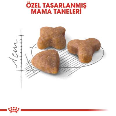 Royal Canin Sensible 33 Hassas Sindirimli Kediler İçin Kedi Maması 15 kg - 3