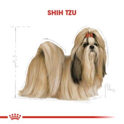 Royal Canin Shih Tzu Yetişkin Köpek Maması 1,5 kg - 2
