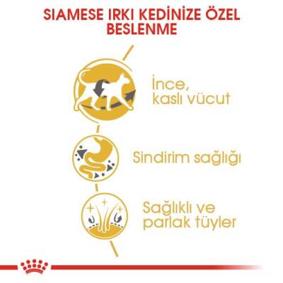 Royal Canin Siamese 38 Siyam Kedisine Özel Yetişkin Maması 2 kg - 5