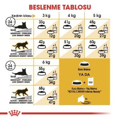 Royal Canin Siamese 38 Siyam Kedisine Özel Yetişkin Maması 2 kg - 6