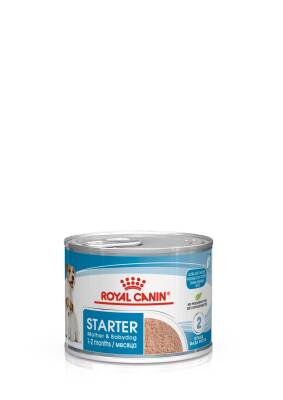 Royal Canin Starter Mousse Mother & Babydog Yavru Köpek Konservesi 195 gr - 1
