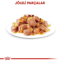 Royal Canin Sterilised In Jelly Kısırlaştırılmış Kediler İçin Konserve 85 gr X 12 Adet - 3