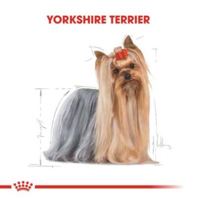 Royal Canin Yorkshire 28 Yorkshire Terrier Köpeklerine Özel Irk Maması 1,5 kg - 2