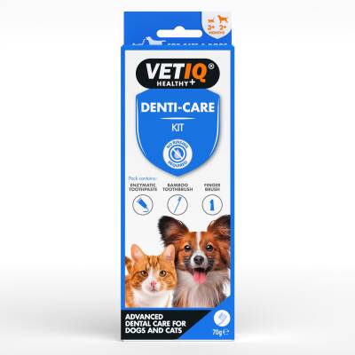 Vet IQ Denti Care Kedi Köpek İçin Diş Macunu ve Diş Fırçası Seti - 1