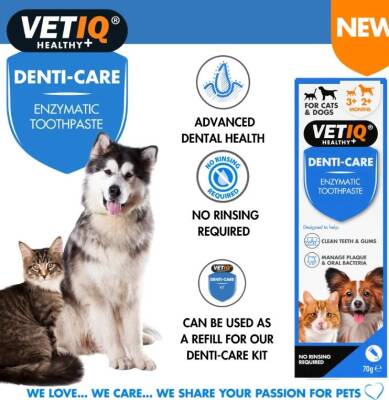 Vet IQ Denti Care Kedi Köpek İçin Diş Macunu ve Diş Fırçası Seti - 2