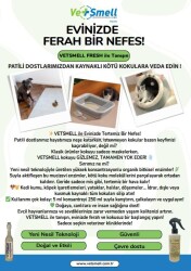 Vetsmell Konsantre Organik Kötü Koku Giderici Solüsyon) - 1