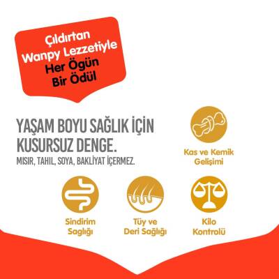 Wanpy Tahılsız Sığır Yetişkin Köpek Kuru Maması 1,5 kg - 3