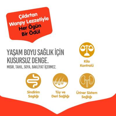 Wanpy Tahılsız Somon Balıklı Yetişkin Kedi Kuru Maması 1,5 kg - 4