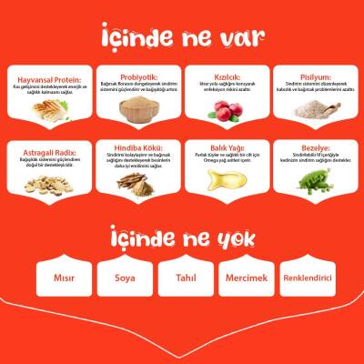 Wanpy Tahılsız Tavuklu Yavru Kedi Kuru Maması 1,5 Kg - 4